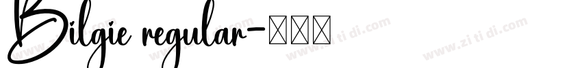 Bilgie regular字体转换